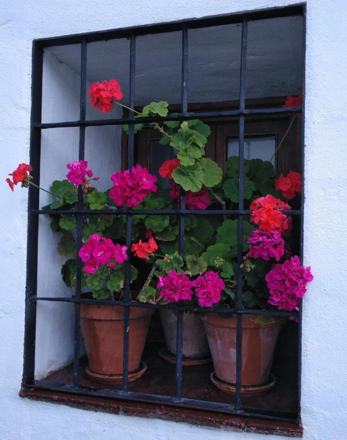 Casa Rural En Grazalema Ngoại thất bức ảnh